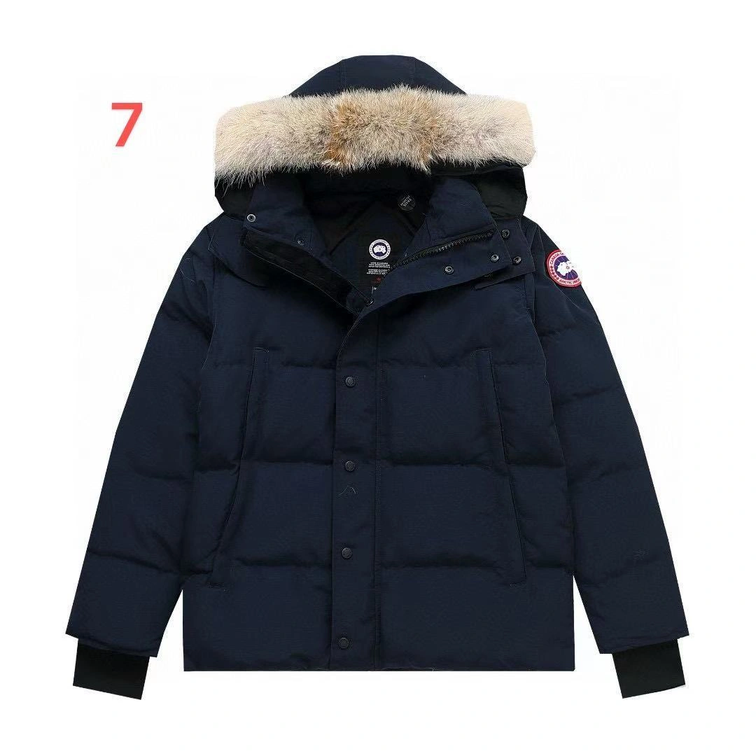 wg.luxury- 6oos5 7Colour item:D-F210J2598H-7